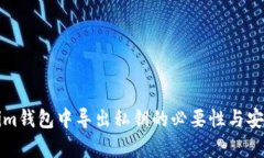 在Tokenim钱包中导出私钥的